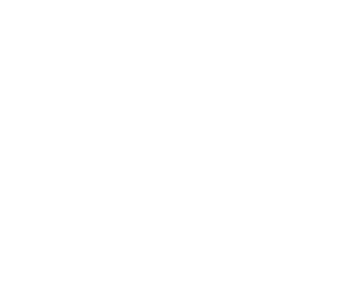 Logo Swiss Tchoukball blanc.png