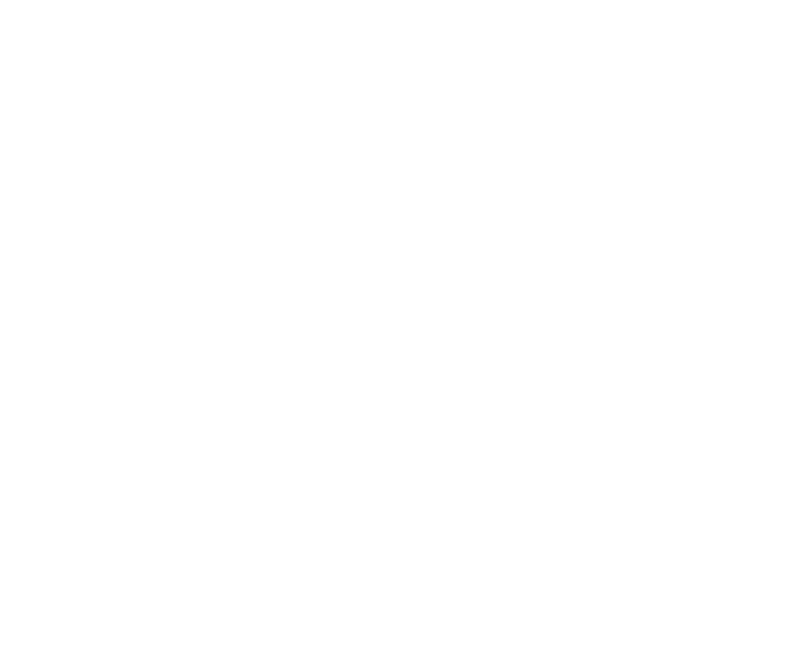 Fichier:Logo Swiss Tchoukball blanc.png